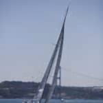 Güneş Sigorta Mary X-35